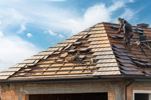 Roof Coating Services in Mcnary, AZ